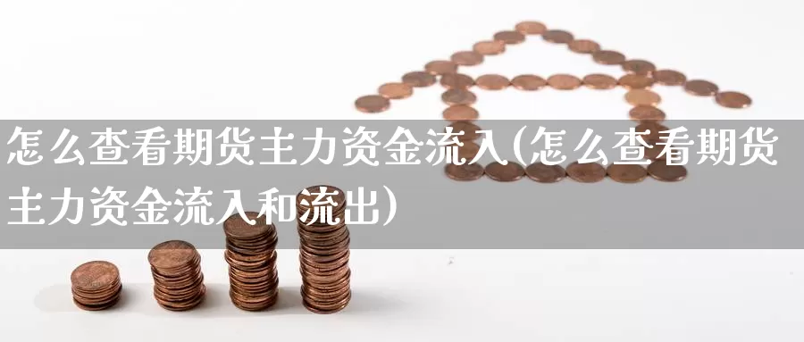 怎么查看期货主力资金流入(怎么查看期货主力资金流入和流出)_https://hz.wpmee.com_国际期货直播_第1张