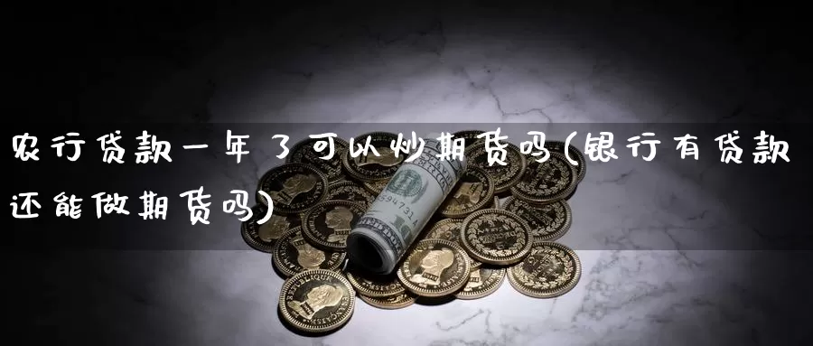 农行贷款一年了可以炒期货吗(银行有贷款还能做期货吗)_https://hz.wpmee.com_国际期货直播_第1张