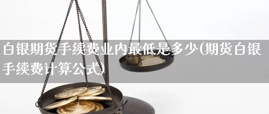 白银期货手续费业内最低是多少(期货白银手续费计算公式)_https://hz.wpmee.com_德指期货直播_第1张